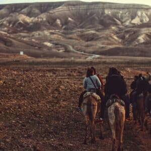 Explorez Israël avec Abraham Tours : Un voyage au-delà des visites touristiques